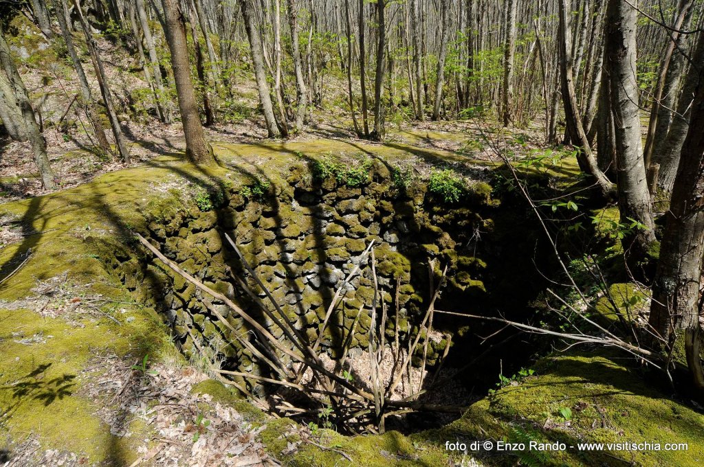 fossa_neve_falanga_2